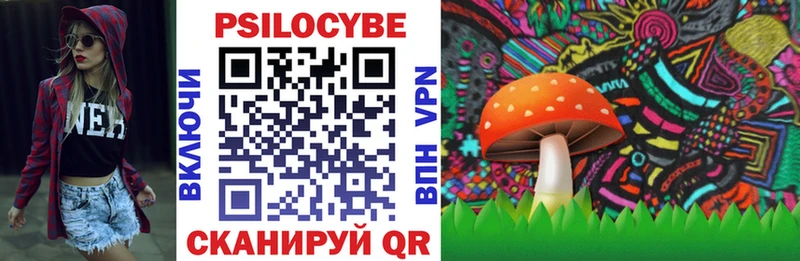 Псилоцибиновые грибы Psilocybine cubensis  Купить закладки  Давлеканово 